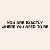 You Are Exactly Where You Need To Be Mirror Decal Decals sighh